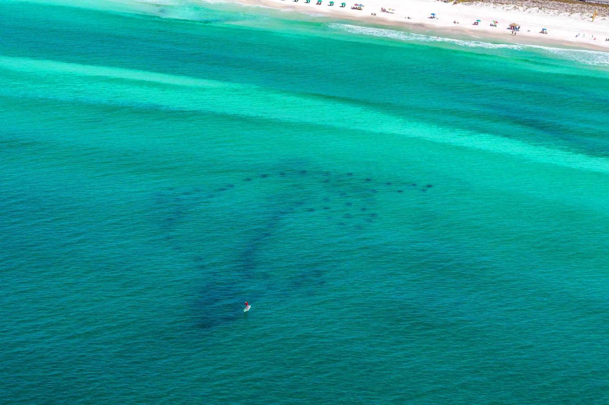 Ariel Dunes I 1307 Destin Exterior foto